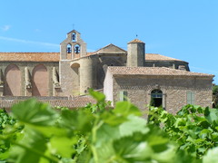 Hérault Abbaye de Valmagne et vigne| proche Gite La Salsepareille