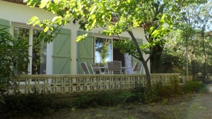 holiday rental languedoc |provence cottage| garden
